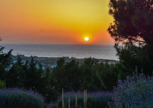 Drolma Ling Camping Rhodes