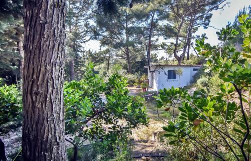 Drolma Ling Camping Rhodes