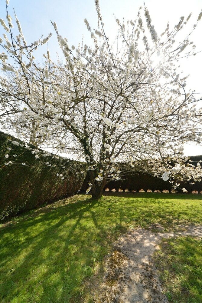Bed & Breakfast Maison En Normandie