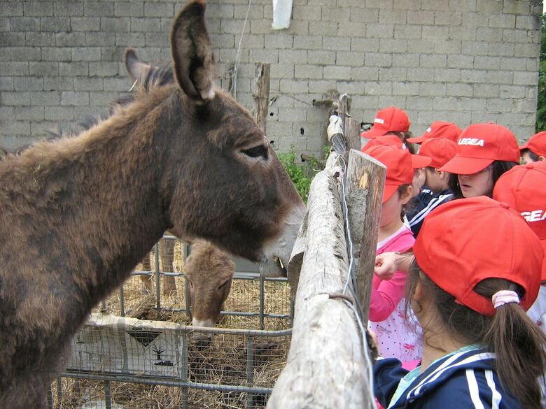 Agroturismo Masseria Sparano