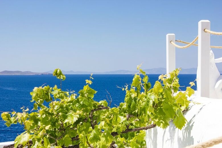 Omiros The Feelgood Hotel