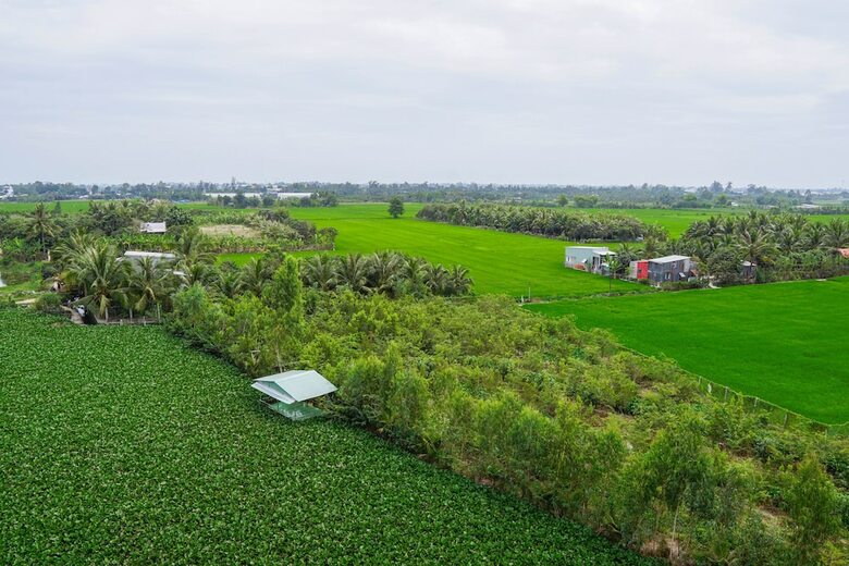 Bed & Breakfast Little Saigon Homestay