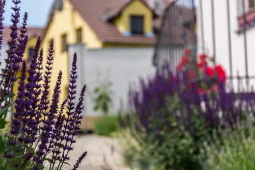 Hostal Penzion Harmonie
