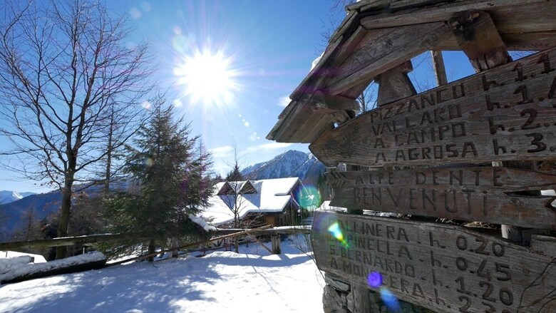 Camping Village Yolki Palki