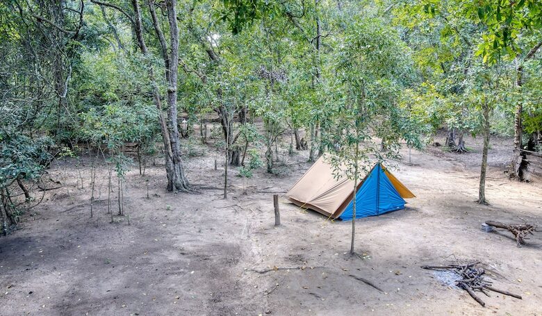 Hotel Yuhibuhi Forest Resort