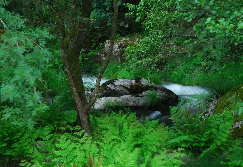 Agroturismo Rusticae Torre Do R�o