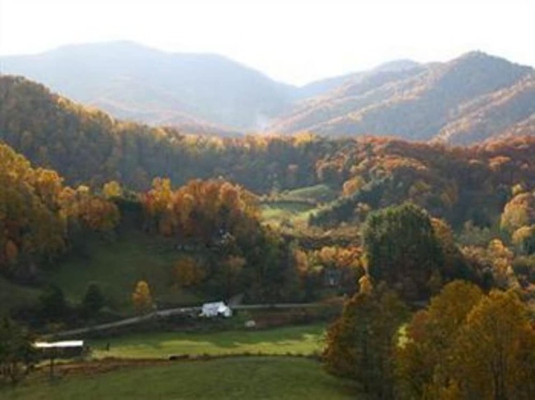 Bed & Breakfast Wildberry Lodge