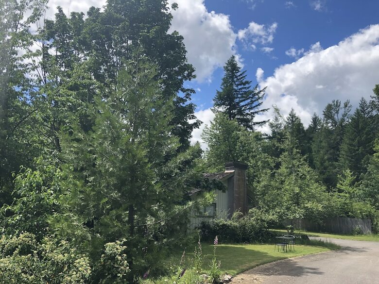 Apartamento Mckenzie River Mountain Resort