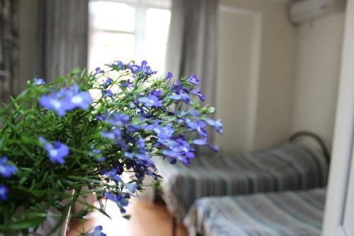 Hostal Angelina Guest House