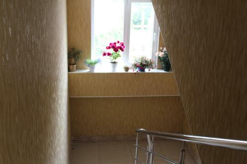 Hostal Angelina Guest House
