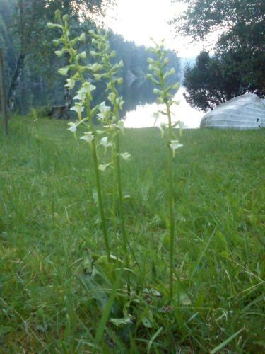 Finas Torpg�rd B&B