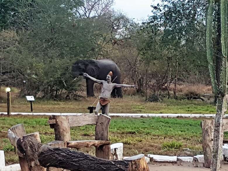 Posada Africa Safari Selous