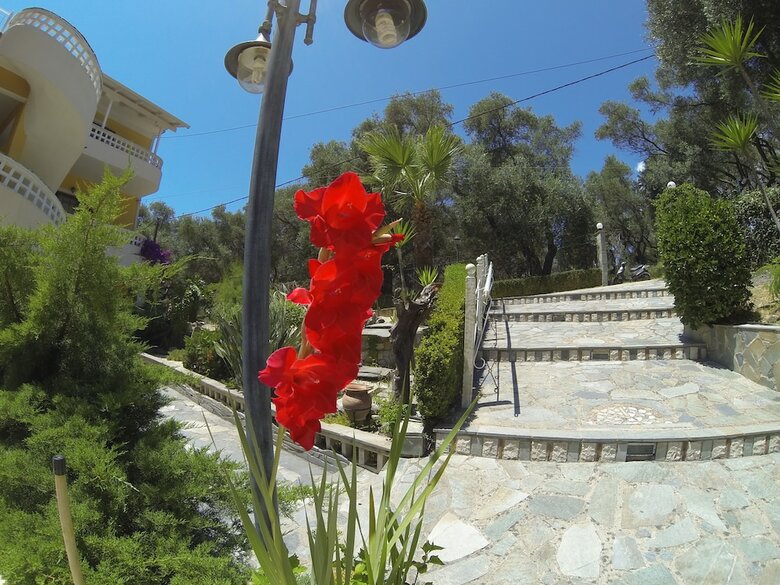 Apartamentos Golden Sun