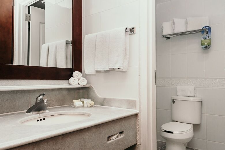 Hotel Holiday Inn Durango