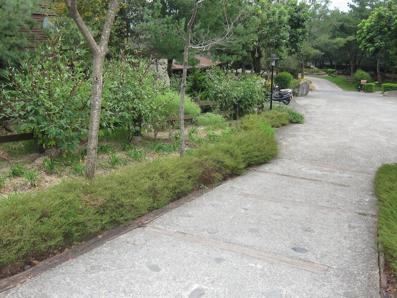 Hotel Zen And Pine Resort