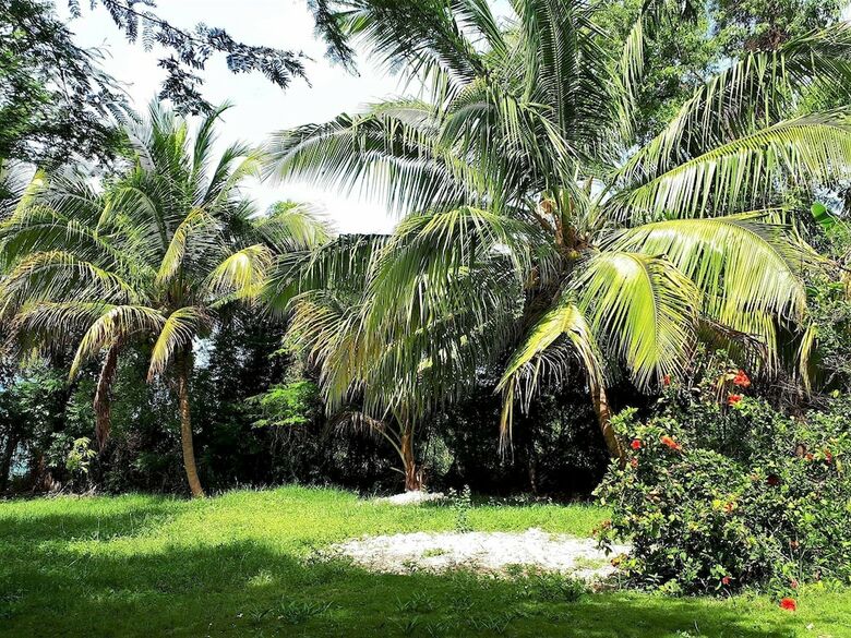 Hotel La Colline Enchant�e