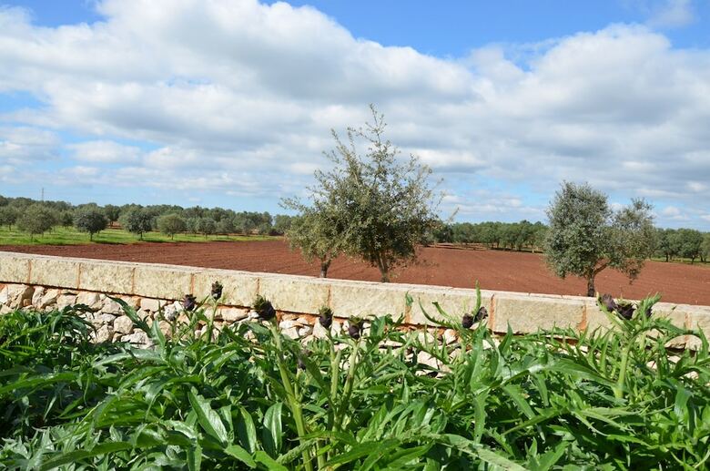 Agroturismo Masseria Chicco Rizzo