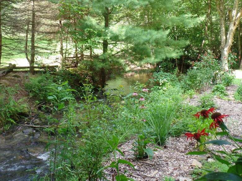 Creekside Paradise Bed And Breakfast