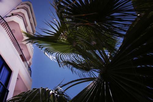 Med-inn Boutique Hotel