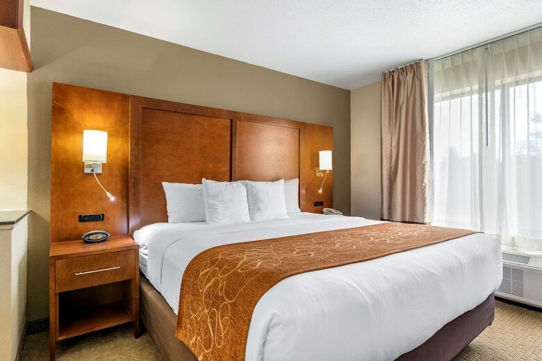 Hotel Comfort Suites Grand Rapids North
