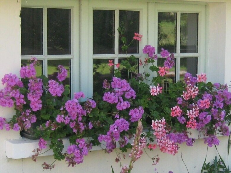 Bed & Breakfast Le Moulin de Champ Bruneau