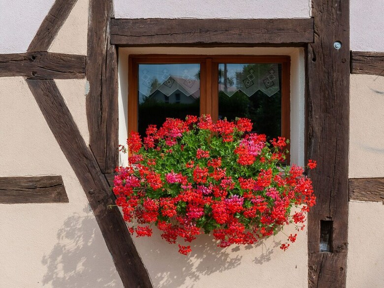 Comfortable Holiday Home In Petit-croix Near Novillard