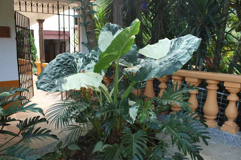 Hotel Otrolado Lodge