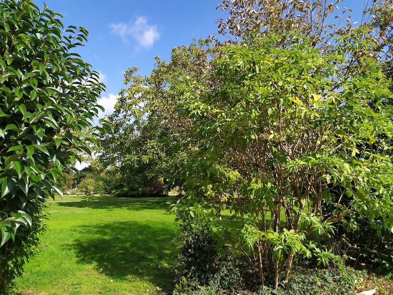 Bed & Breakfast La Halte Aux Oiseaux