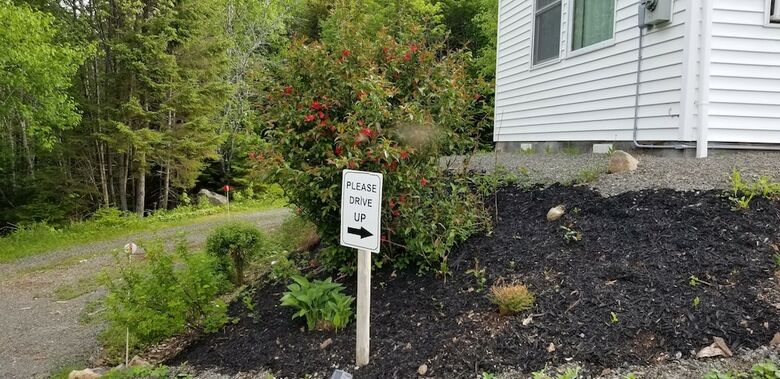 Mountainside Hideaway Cottage & Suites