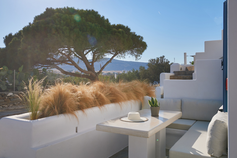 Apartamentos Cleopatra Homes