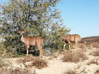 Hotel Sanbona Wildlife Reserve