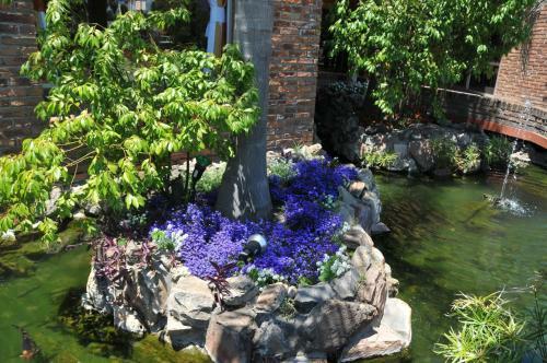 Hotel Jardines De Dayman