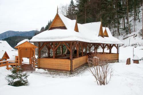 Hotel Dykyi Med