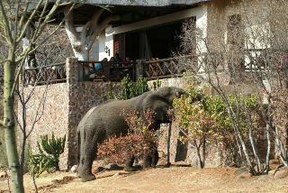 Hotel Izingwe Lodge