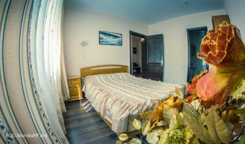 Hotel Almaz
