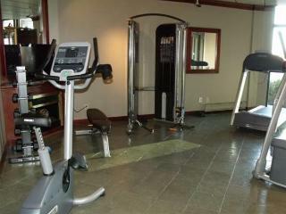 Hotel Dauphin Saint Hyacinthe