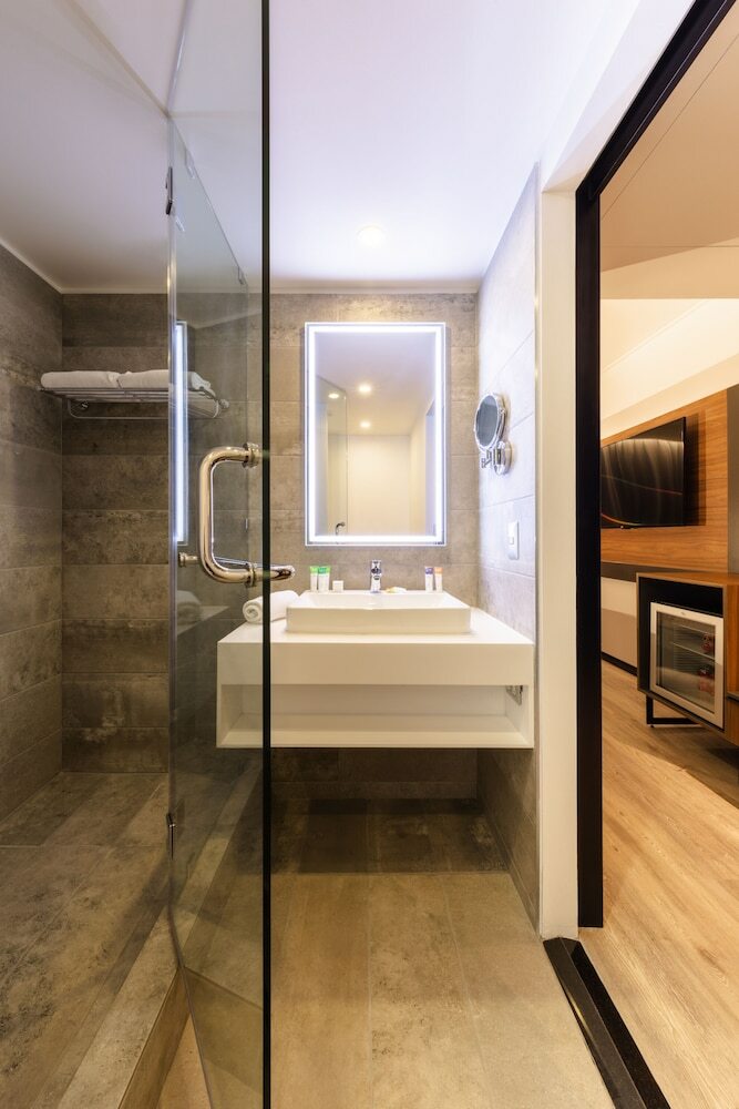 Hotel Novotel Santiago Providencia