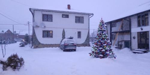 Hostal Cottage U Kuzmicha Guest House