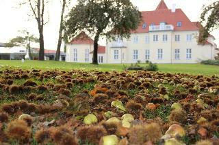Hotel Sinatur Gl. Avern�s