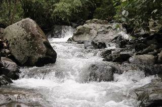Hotel Bosque De Paz