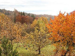 Le Petit Clos Des Rocailles - Three Bedroom