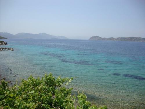 Hostal Mavi Akvaryum Pension