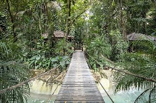 Hotel Bodhi Tree Yoga Resort
