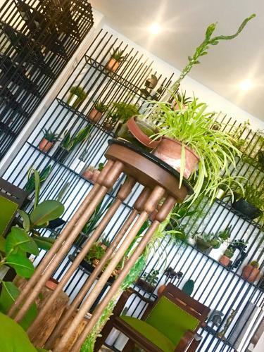Sato Design Hotel