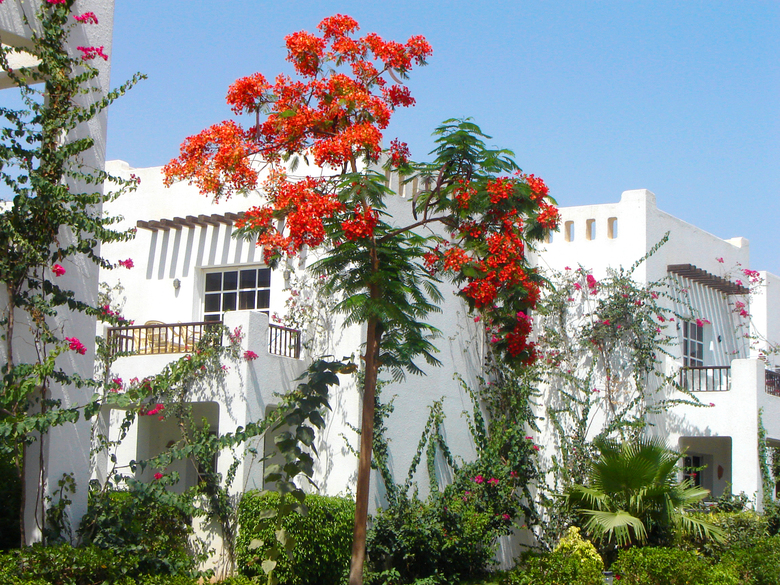 Hotel Delta Sharm Resort