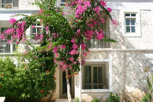 Petunya Konak Hotel