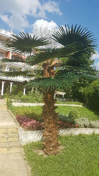 Elit Palace Hotel & Spa