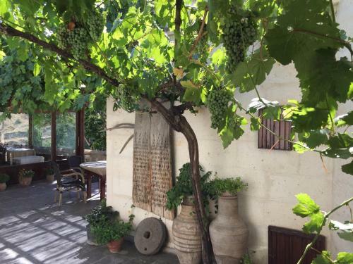 Hostal Aravan Evi