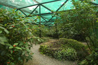 The Lodge At Pico Bonito