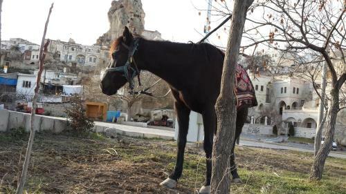Hotel Tafoni Evleri